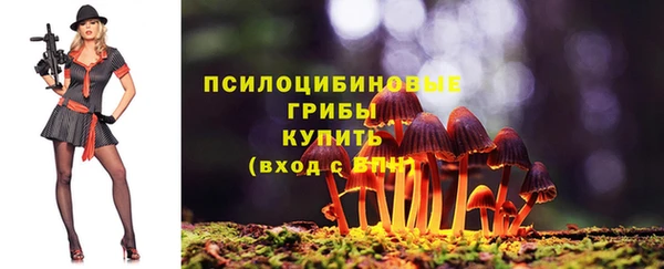 спайс Алексеевка