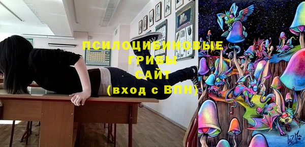винт Алзамай
