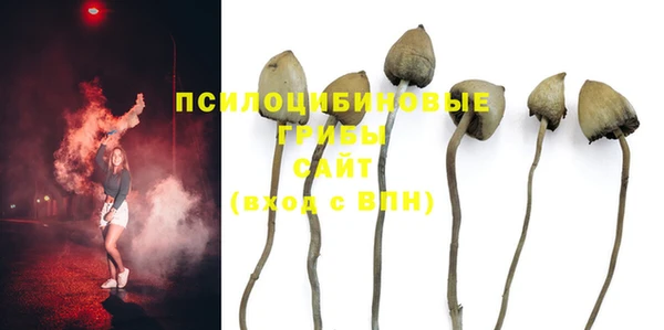 спайс Алексеевка