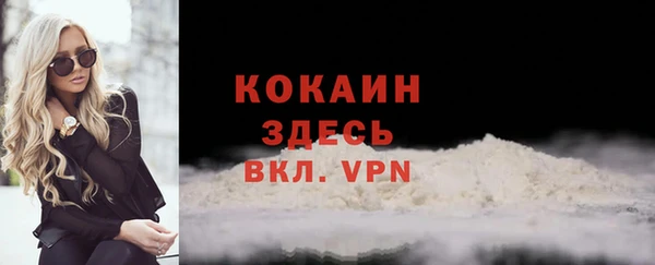 крисы Алексин
