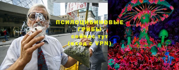 винт Алзамай