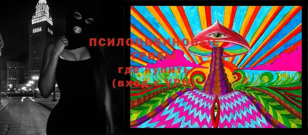 винт Алзамай