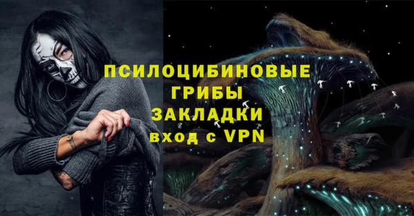 крисы Алексин