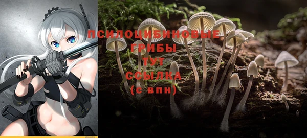спайс Алексеевка