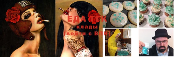 крисы Алексин